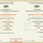 bằng đại học điện tử là gì