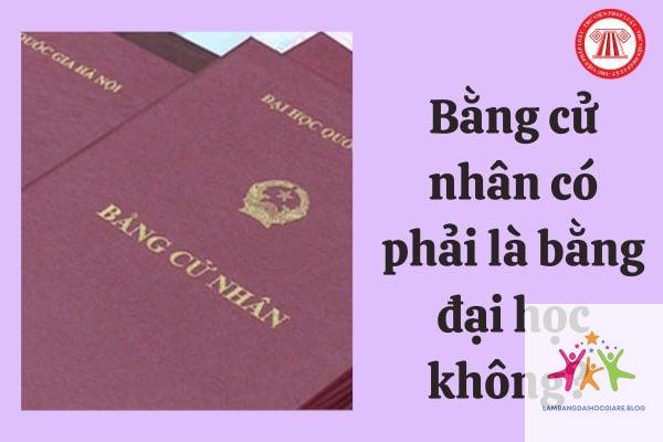 bằng đại học do ai cấp - Hình 5