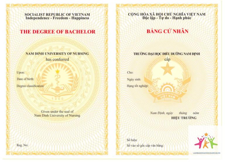 bằng đại học dùng để làm gì - Hình 1