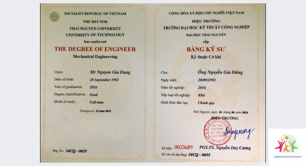 bằng đại học giúp ích gì cho công việc - Hình 2