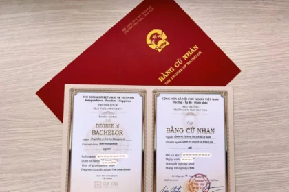 bằng đại học giúp ích gì cho công việc
