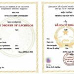 bằng đại học là gì