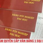 bằng đại học là gì