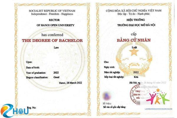 bằng đại học là gì - Hình 2