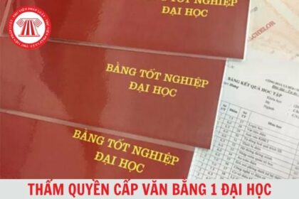 bằng đại học là gì
