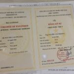 bằng đại học loại giỏi có lợi thế gì