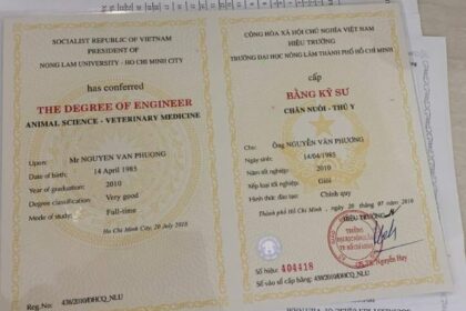 bằng đại học loại giỏi có lợi thế gì