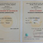 bằng đại học online là gì