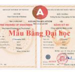 bằng đại học song ngữ là gì