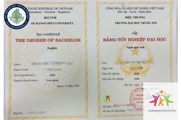 bằng đại học song ngữ là gì - Hình 3