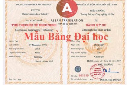 bằng đại học song ngữ là gì