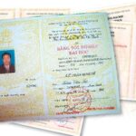 bằng đại học thuộc trình độ nào