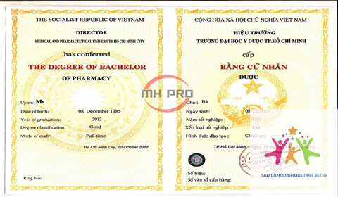 bằng đại học thuộc trình độ nào - Hình 3