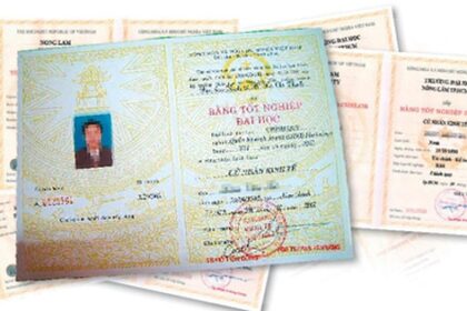 bằng đại học thuộc trình độ nào