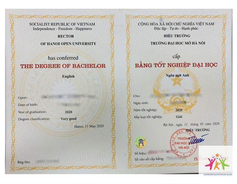 bằng đại học tiếng anh là gì - Hình 1