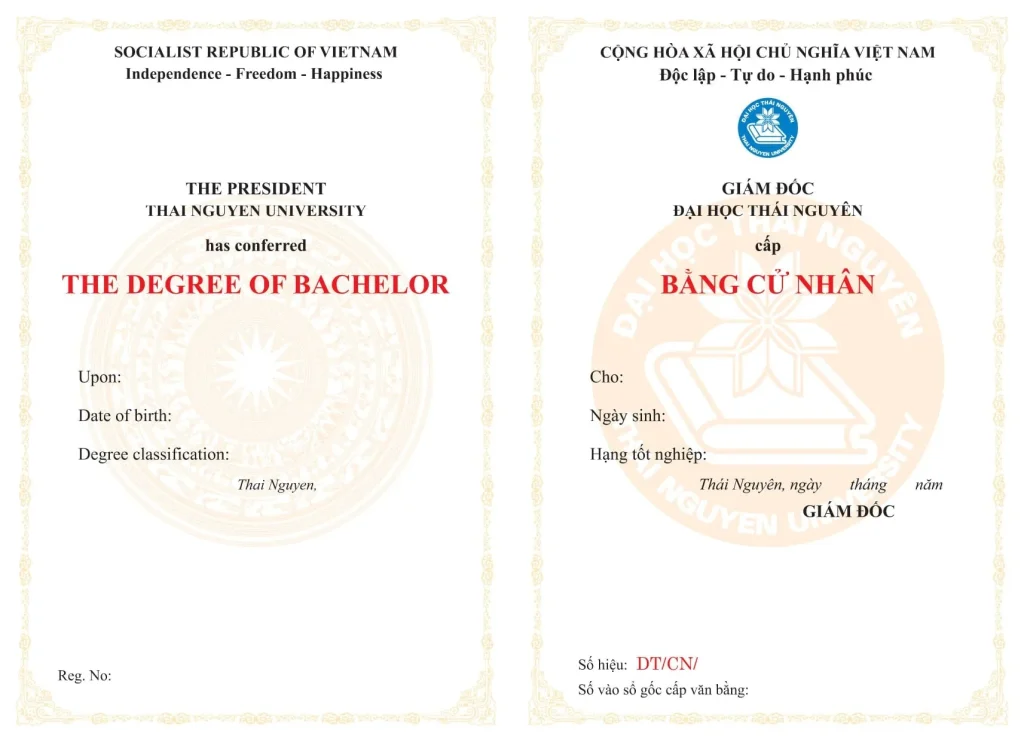 bằng đại học trực tuyến là gì - Hình 5