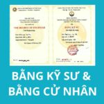 bằng đại học và bằng kỹ sư khác nhau gì