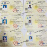 bằng đại học và chứng chỉ nghề nghiệp