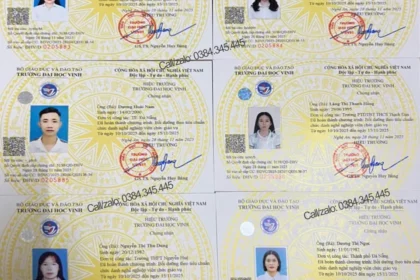 bằng đại học và chứng chỉ nghề nghiệp
