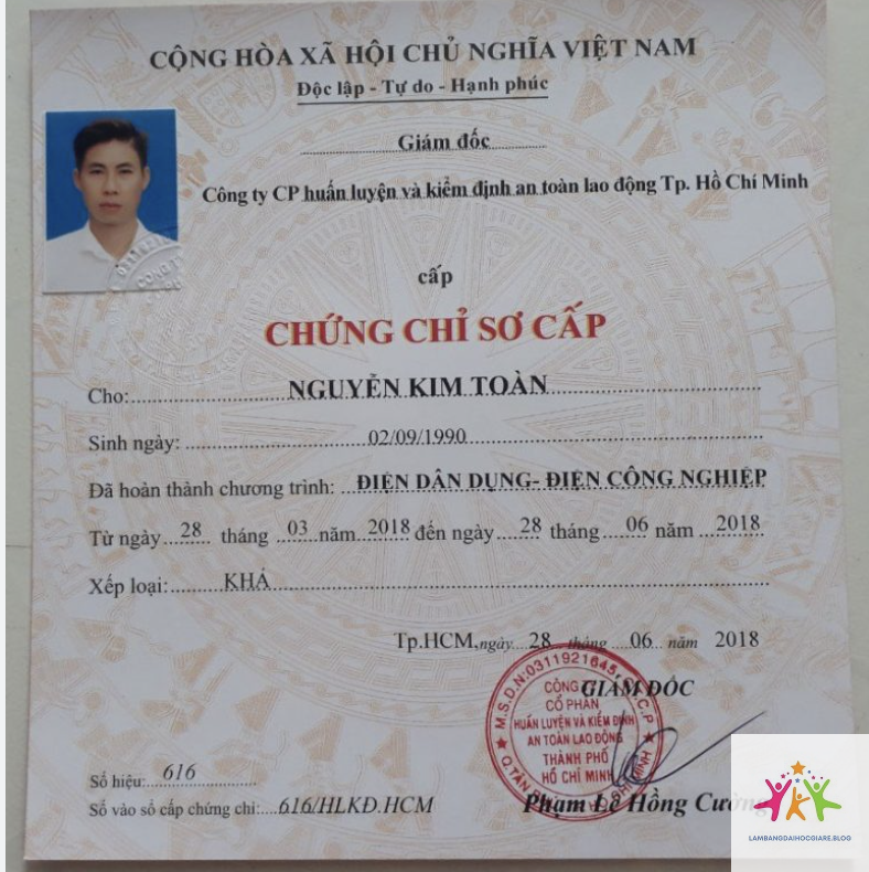 bằng đại học và chứng chỉ nghề nghiệp - Hình 4