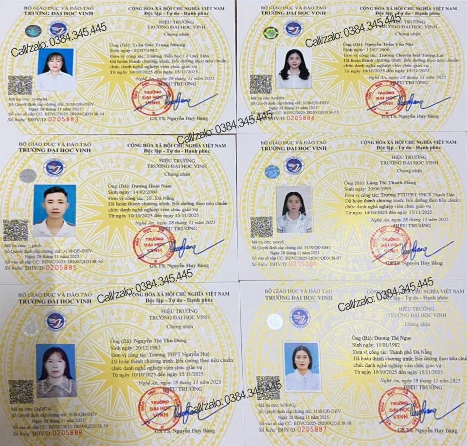 bằng đại học và chứng chỉ nghề nghiệp - Hình 1