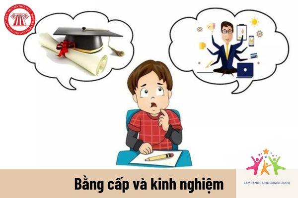 bằng đại học và kinh nghiệm cái nào quan trọng hơn - Hình 1