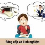 bằng đại học và kinh nghiệm cái nào quan trọng hơn