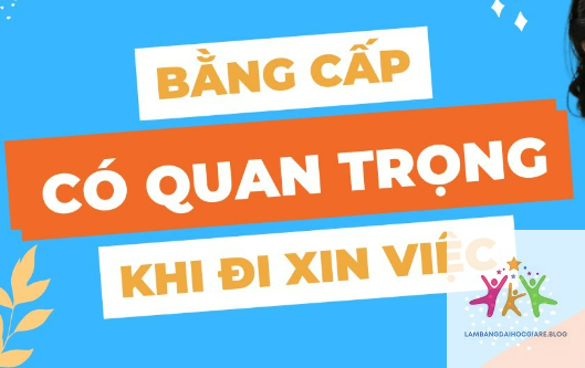 bằng đại học và kinh nghiệm cái nào quan trọng hơn - Hình 2