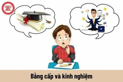 bằng đại học và kinh nghiệm cái nào quan trọng hơn