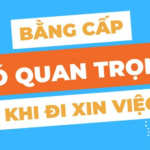 bằng đại học và kỹ năng cái nào quan trọng hơn
