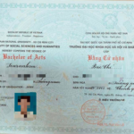 bằng đại học và năng lực làm việc