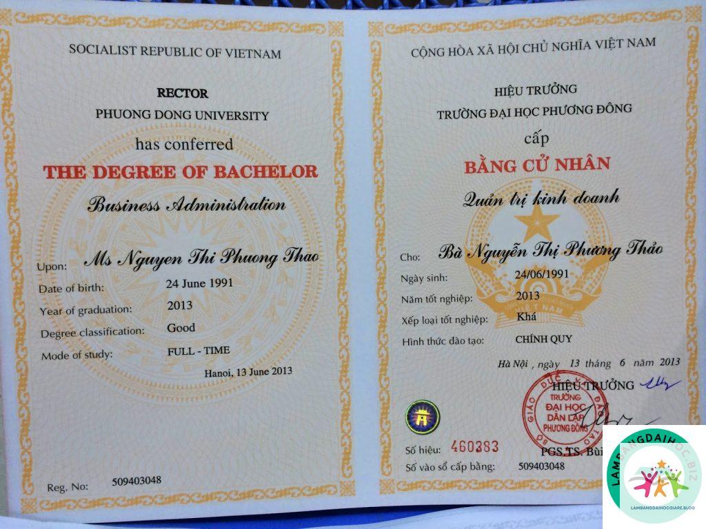bằng đại học và năng lực làm việc - Hình 2