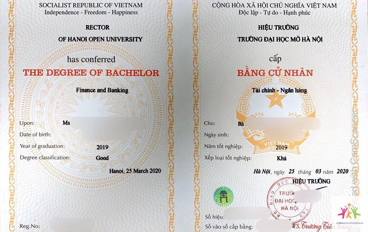 bằng đại học và năng lực làm việc - Hình 4