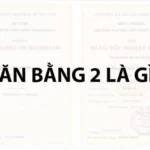 bằng đại học văn bằng 2 là gì