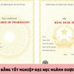 bằng dược sĩ là gì