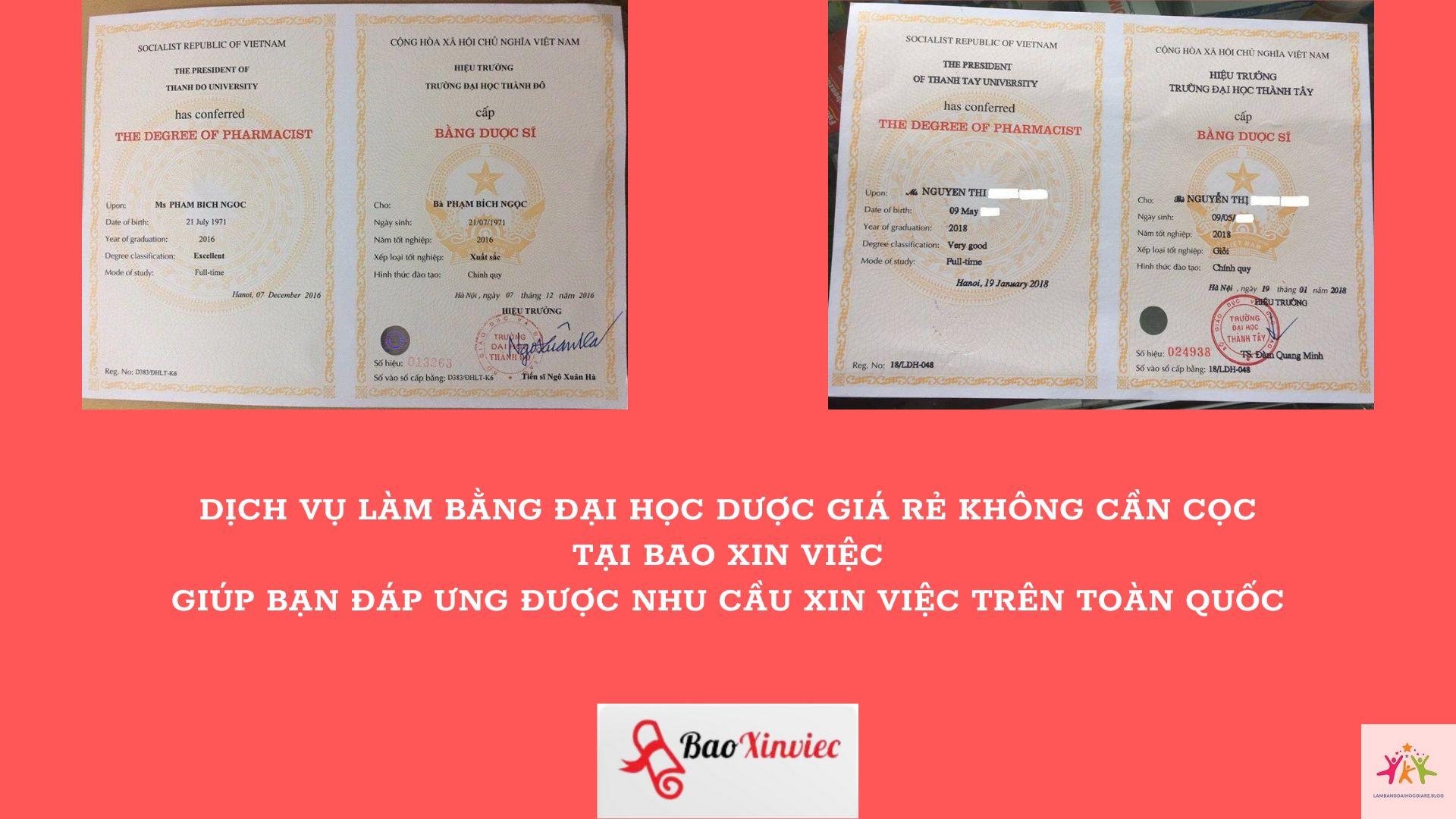 bằng dược sĩ là gì - Hình 2