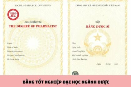 bằng dược sĩ là gì