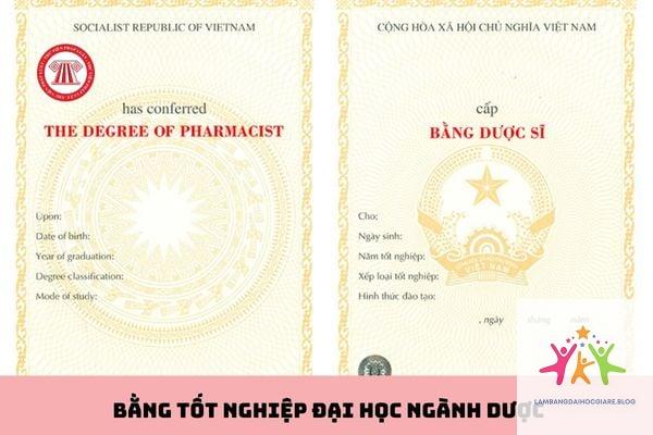 bằng dược sĩ là gì - Hình 1