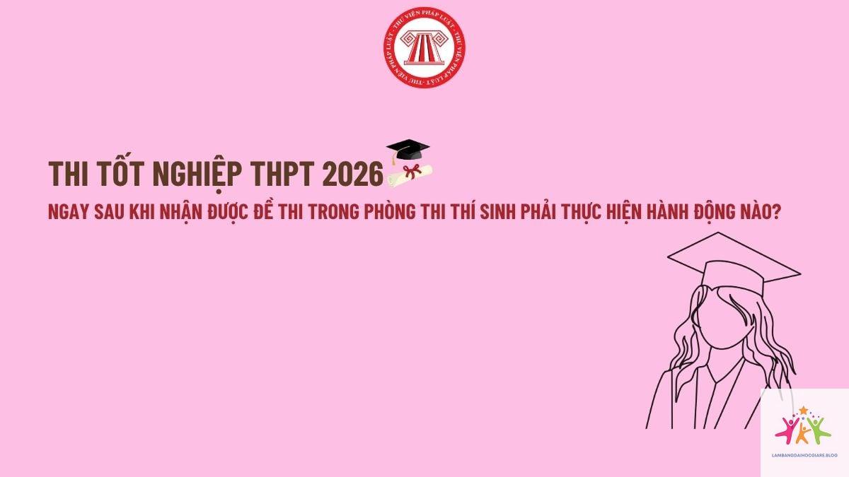 bao lâu được nhận bằng đại học - Hình 3
