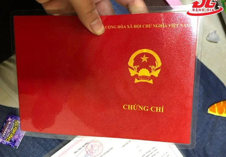 cách bảo quản bằng đại học