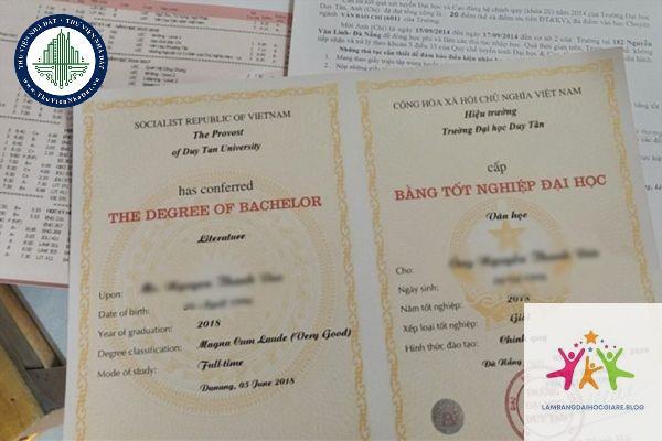 cách đọc thông tin trên bằng đại học - Hình 5
