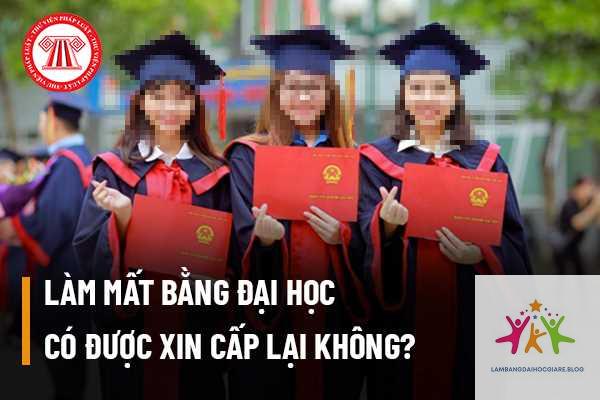 cấp lại bằng đại học ở đâu - Hình 3