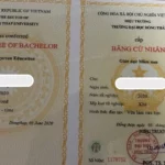 có nên lấy bằng đại học không
