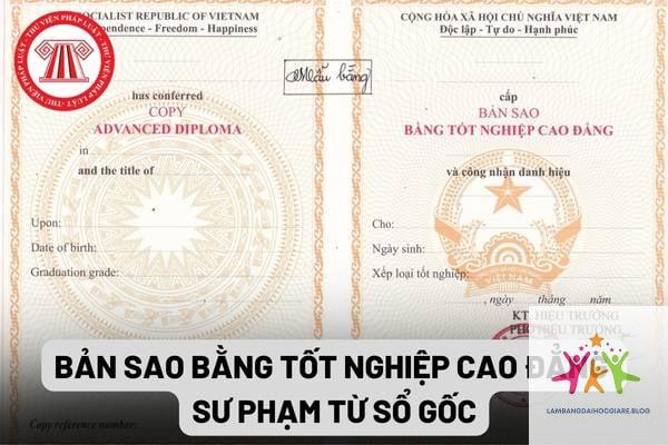 cơ quan nào cấp bằng đại học - Hình 4