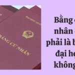 cử nhân có phải bằng đại học không