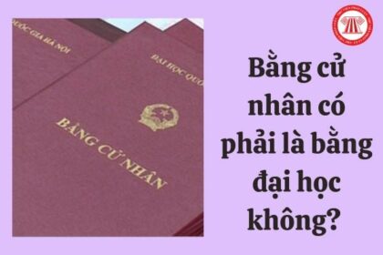 cử nhân có phải bằng đại học không