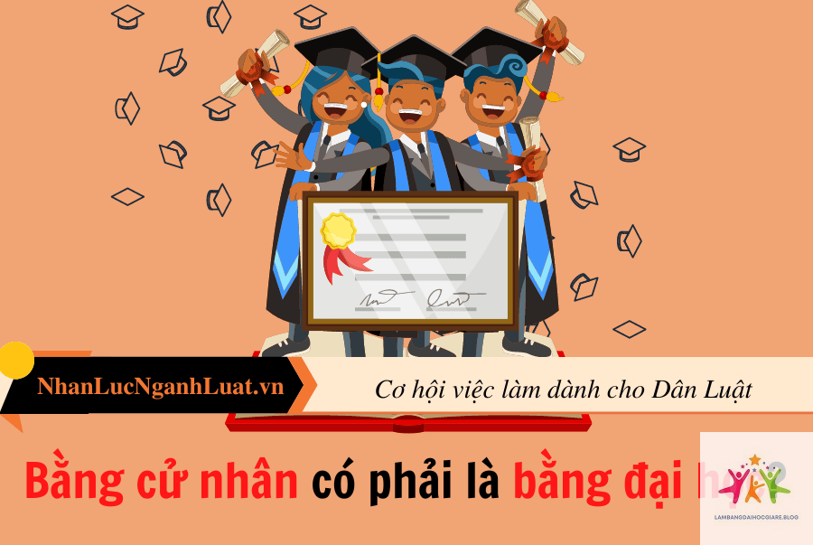 cử nhân có phải bằng đại học không - Hình 5