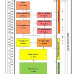 đại học thuộc bậc học nào