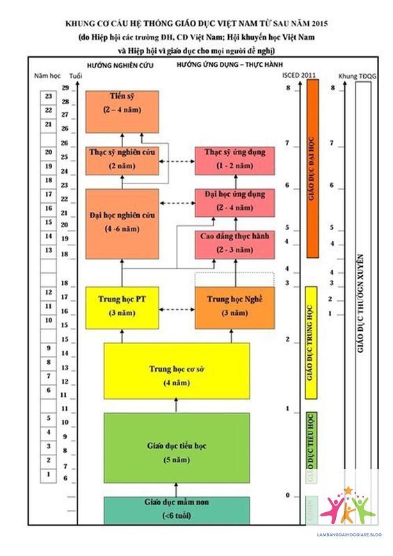 đại học thuộc bậc học nào - Hình 1