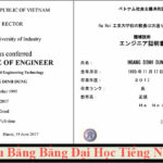 dịch thuật bằng đại học